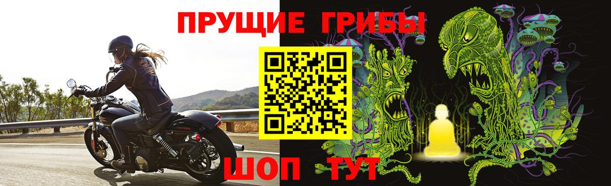 Галлюциногенные грибы GOLDEN TEACHER Волжск